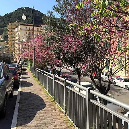 Alojamento de Acomodação e Pequeno-almoço Sorgente 23 Salerno